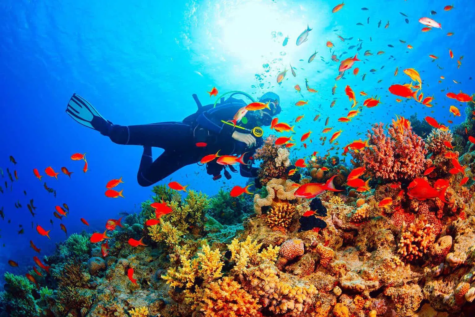 Scuba Diving, Phuket.